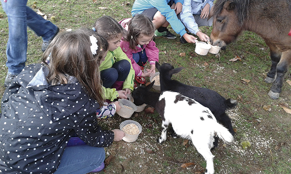 La cabrita Pepa es conocida por los visitantes de nuestra granja